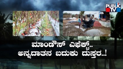 ಕೈಗೆ ಬಂದ ತುತ್ತು ಬಾಯಿಗೆ ಬರದೇ ರೈತ ಕಂಗಾಲು..! | Cyclone Mandous Effect | Public TV