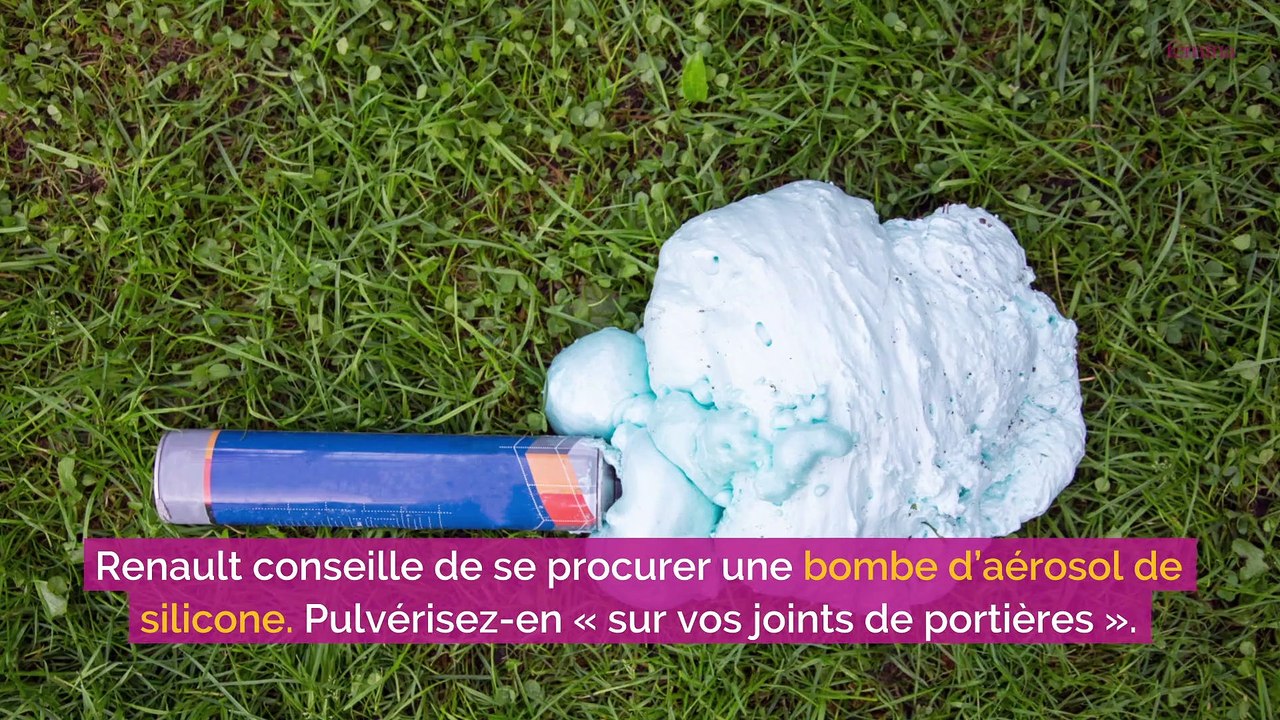 Vague de froid et de neige : quels gestes adopter pour lutter contre le gel sur les voitures ?