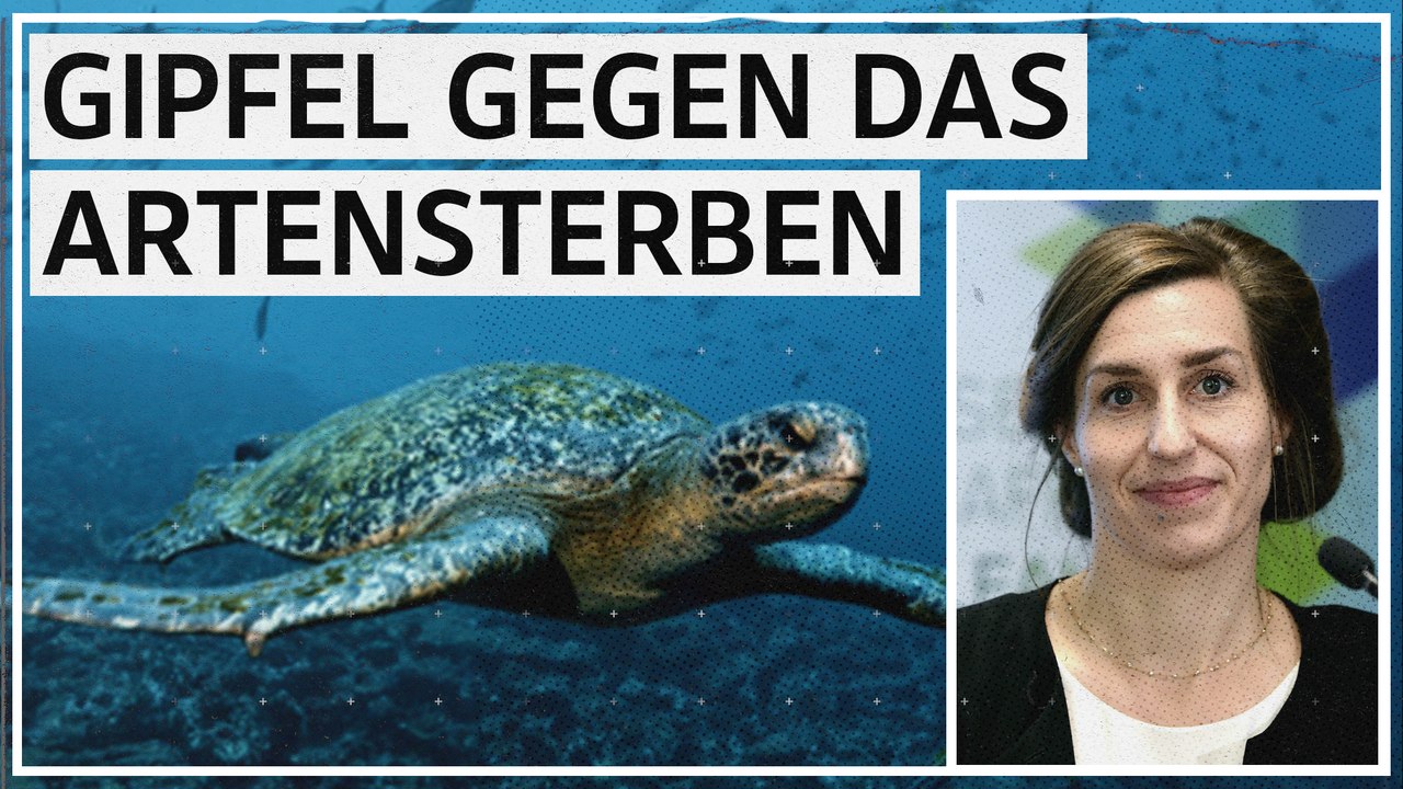 Was, wenn der Weltnaturgipfel scheitert?