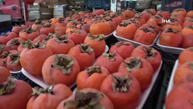 Kış mevsiminin gözdesi cennet hurması vücut direncini koruyor