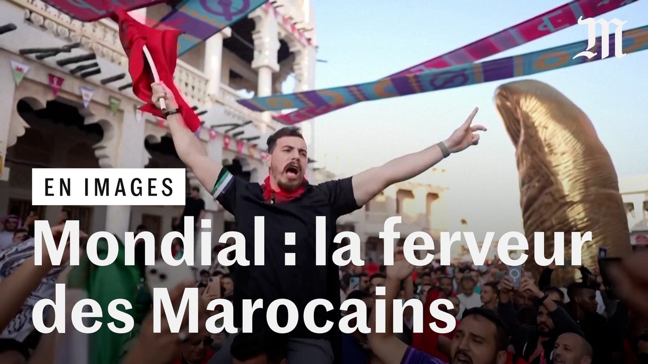 La ferveur des supporteurs marocains au Qatar avant la demi-finale contre la France