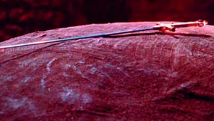 Harry Potter meets Aladdin