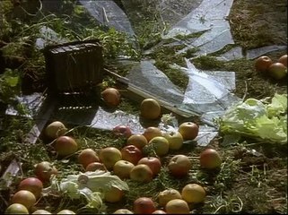 Pie in the Sky. S01 E10. Endangered Species.