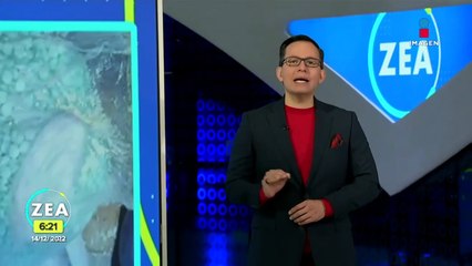 FGR destruye más de tres toneladas de droga en Hermosillo, Sonora