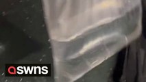 Woman shares hack for de-icing frosty car - using a plastic bag and warm water