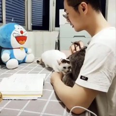 Funniest Cats Compilation #10 Don't try to hold back Laughter