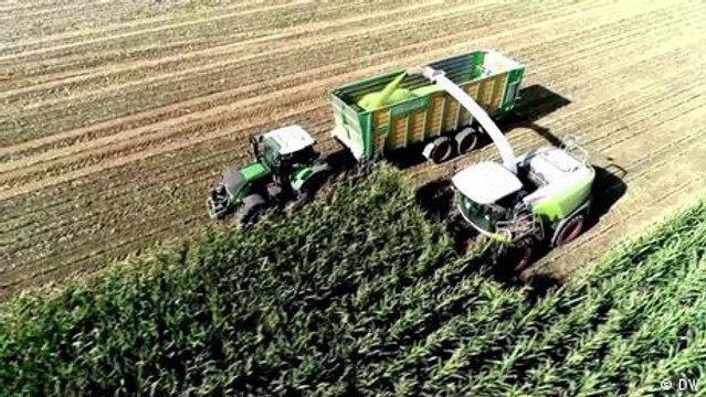 Getreide auf den Teller oder in den Tank?