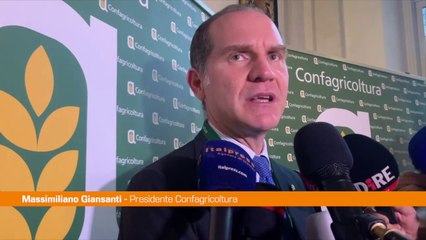 Manovra, Giansanti "Il Governo ha fatto ciò che poteva"