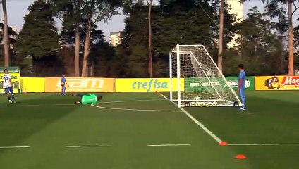 Confira os gols de Papagaio no treino do Palmeiras