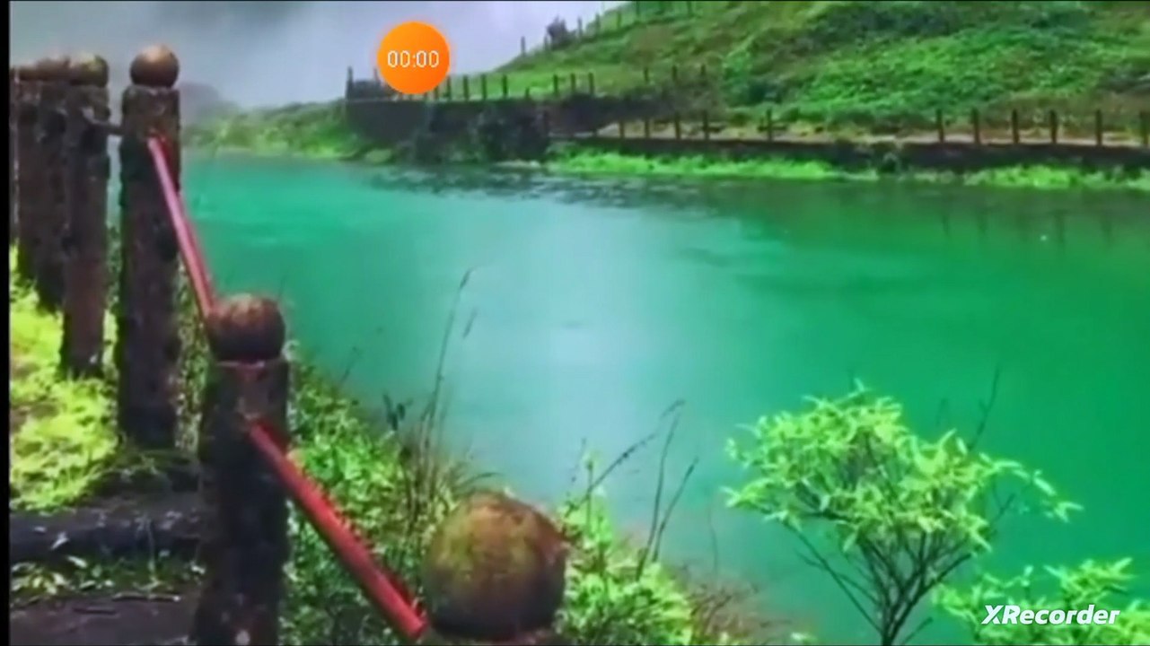 نقي قلبك سدرة الوكيميا في القرآن