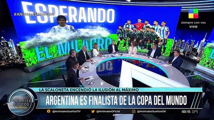 Fantino destrozó a Mariano Closs por las críticas contra Scaloni