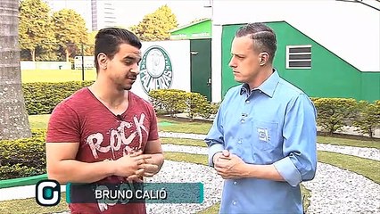 Palmeiras questiona arbitragem na CBF e se prepara para série fora de casa