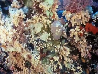 El Primer Eden-cap4-Extraños en el Jardin