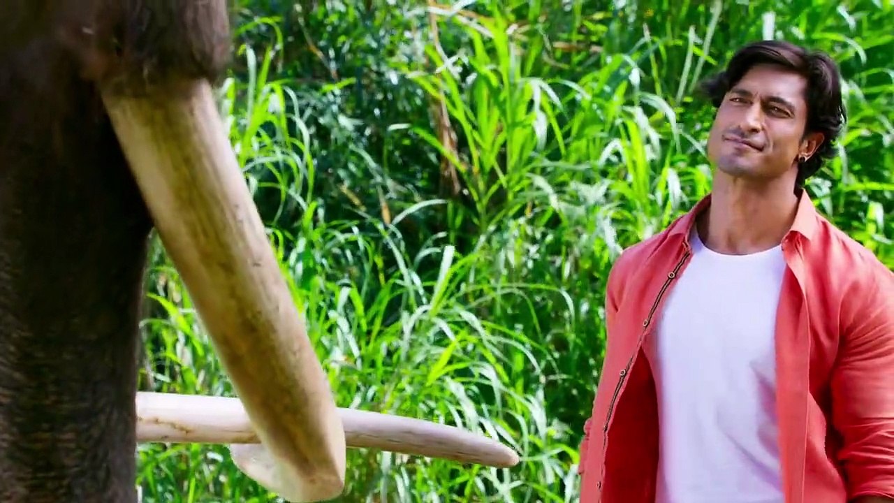 पूरा देखें विद्युत जामवाल ने जानवरों से दोस्ती कैसे की || View Full How did Vidyut Jammwal befriend animals || Superhit Movies || All Movies Planet