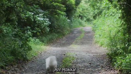 Lion no Oyatsu - ライオンのおやつ - Lion Snack - Raion no Oyatsu - ENG SUB - E1
