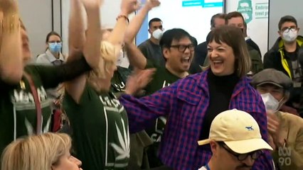 Adem Somyurek, Legalise Cannabis MPs win seats as Victorian upper house election results are confirmed