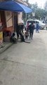 Pobladores se ven sorprendidos por la presencia de un mono araña en las calles de Chulumani