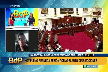 Margot Palacios: Perú Libre está convencido de un adelanto de elecciones, pero en la "brevedad posible"