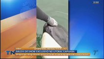 Baleia é encontrada morta em praia do ES