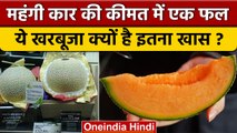 Yubari Melon क्यों है World Most Expensive fruits, जानें क्या है कीमत | वनइंडिया हिंदी *News