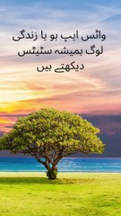 واٹس ایپ ہو یا زندگی لوگ ہمیشہ سٹیٹس دیکھتے ہیں