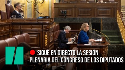 Sigue en directo la Sesión Plenaria del Congreso de los Diputados