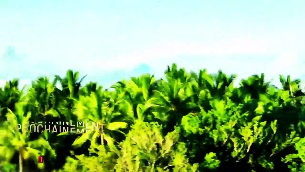 Teaser de "Koh-Lanta, Le Feu Sacré", en 2023 sur TF1