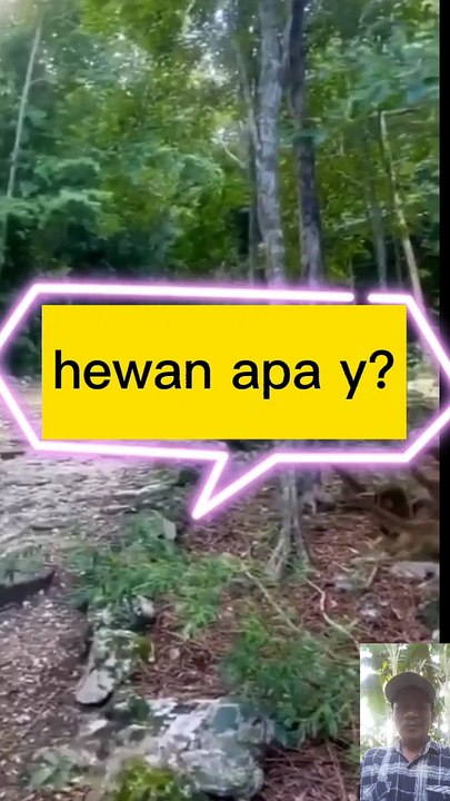 Lehernya panjang hewan apa?