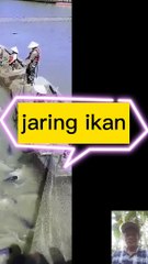 Jaring ikan di laut