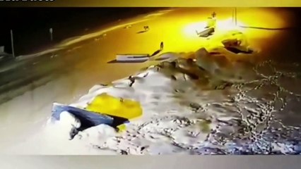 2 Kangal Dogs Powerfully Attack The 3 Wolf!   Kangal Vs Wolf (2)