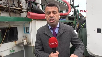 AMASRA'DA BALIKÇILAR 375 TON HAMSİ YAKALADI