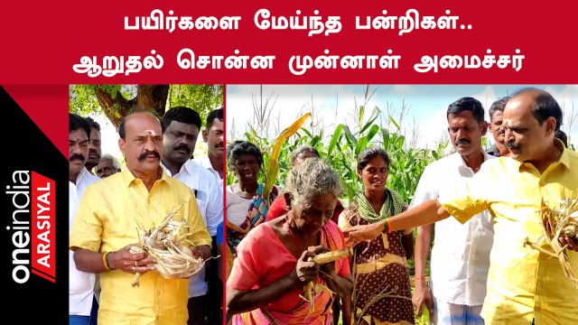 Kadambur Raju | பயிர் சேதத்தால் பாதிக்கப்பட்ட விவசாயிகளுக்கு ஆறுதல் சொன்ன கடம்பூர் ராஜு