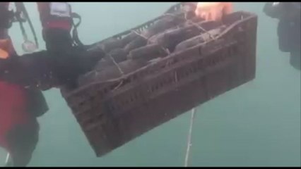 A Nemi il brindisi di Natale è in fondo al lago