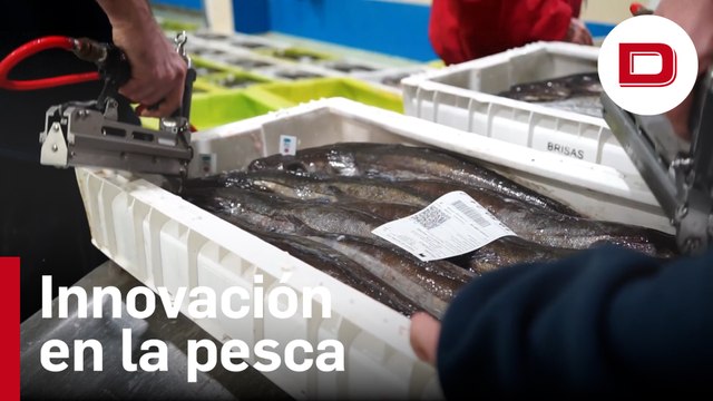 Puerto de Celeiro pretende avalar con QR la fiabilidad de un 30 % de la merluza española