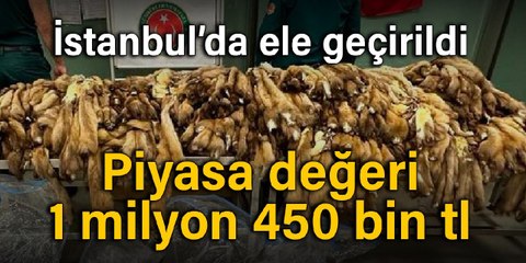 İstanbul Havalimanı'nda bin 200 samur postu ele geçirildi