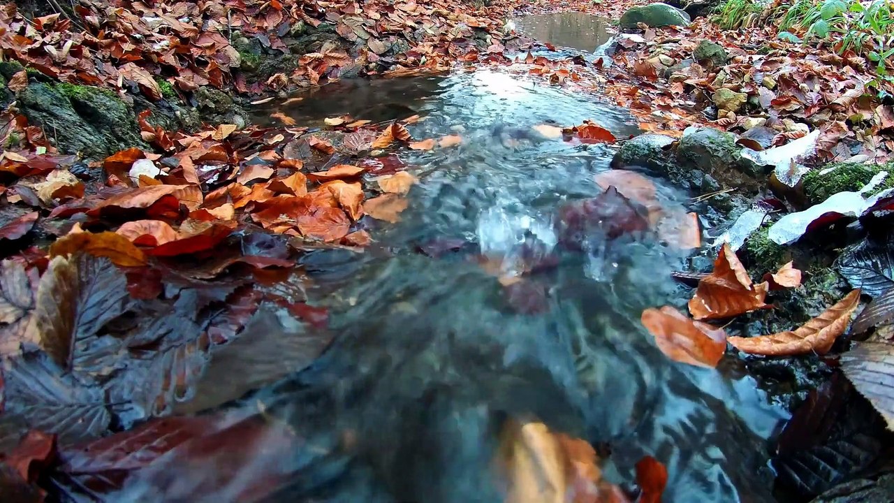 SEA RELAXATION Soothing Sounds of the Sea WO Music Calming Ocean Waves Sound of Wind Water Sounds 8