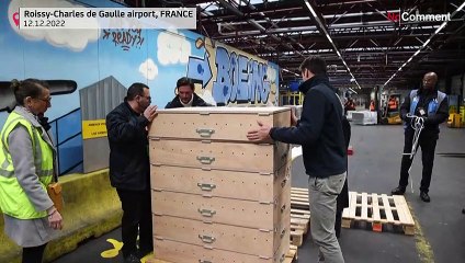 Senegal e Mónaco dão as mãos contra extinção de tartaruga