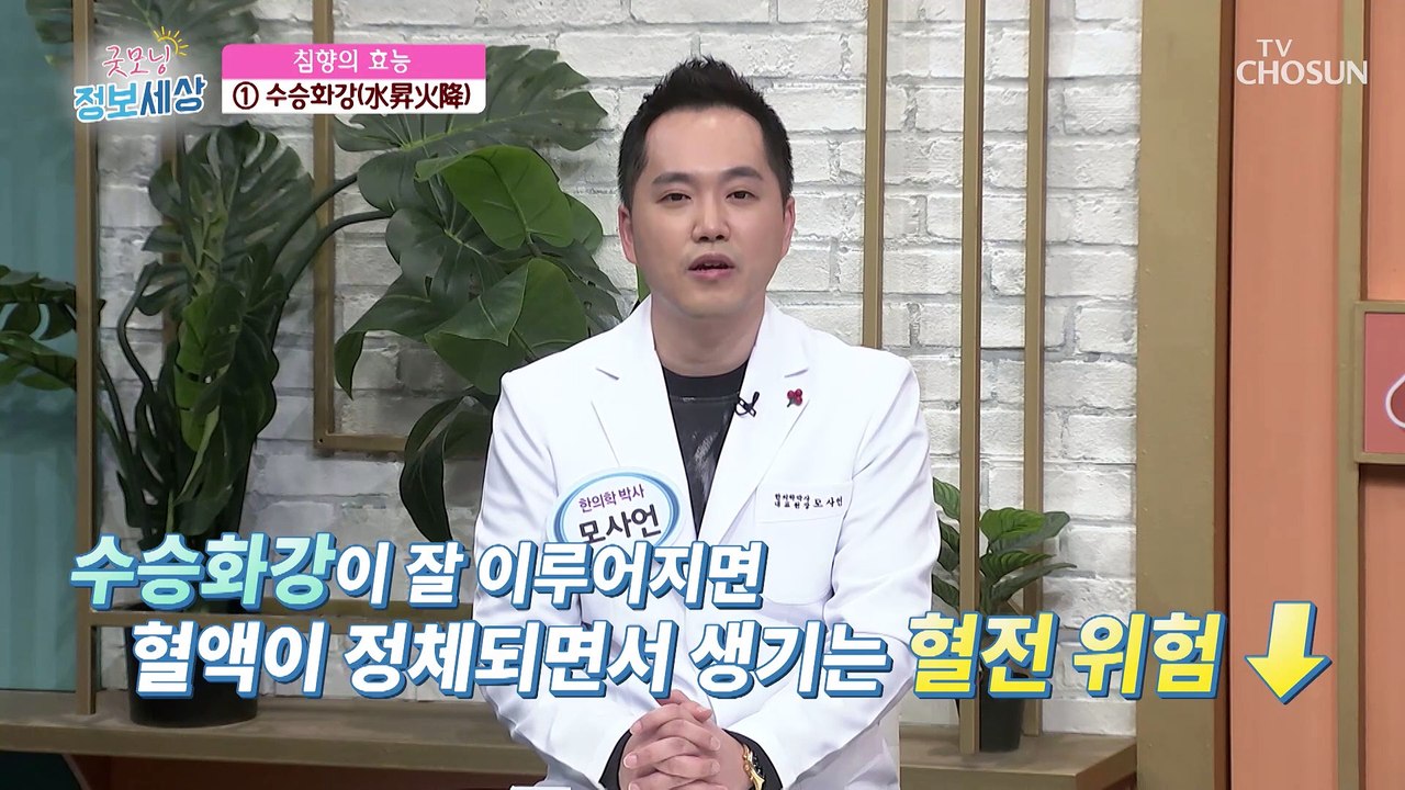 몸 전체를 건강하게 해주는 침향의 다양한 효능들! TV CHOSUN 221215 방송