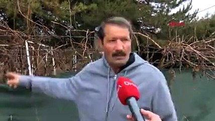 Ankara'da aslan paniği! Hayvanat bahçesinden firar etti