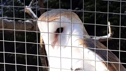 Tilgate Park Nature Centre Christmas 2022