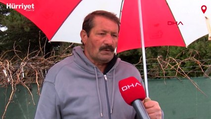 Mühürlü hayvanat bahçesinden kaçan aslan yola indi; o anlar kamerada