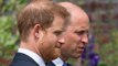 Prince Harry found it 'terrifying' when Prince William 'screamed and shouted' during meeting over royal future