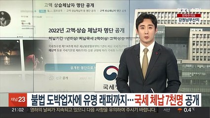 불법 도박업자에 유명 래퍼까지…국세 체납 7천명 공개