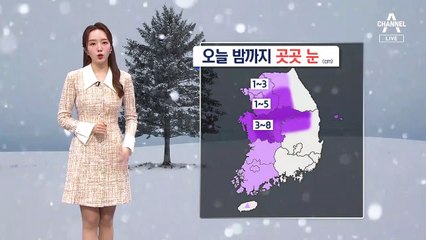 [날씨]밤까지 중부 최대 8cm 눈, 교통안전 주의…추위 더 심해져