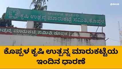 ಕೊಪ್ಪಳ : ಮಾರುಕಟ್ಟೆಯಲ್ಲಿ ಮೆಕ್ಕಜೋಳ ದರ ಏರಿಕೆ
