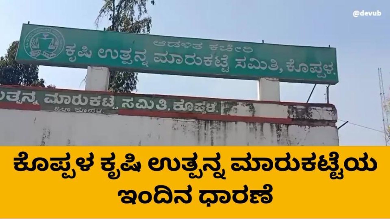 ಕೊಪ್ಪಳ : ಮಾರುಕಟ್ಟೆಯಲ್ಲಿ ಮೆಕ್ಕಜೋಳ ದರ ಏರಿಕೆ
