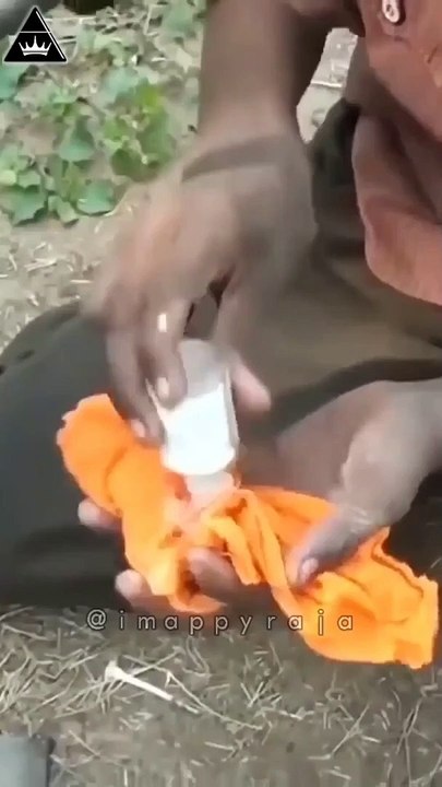 'पतली कमरिया मोरी हाय-हाय' पर बंदरो और कुत्तो ने किया धमाकेदार डांस; देखिए वायरल Video