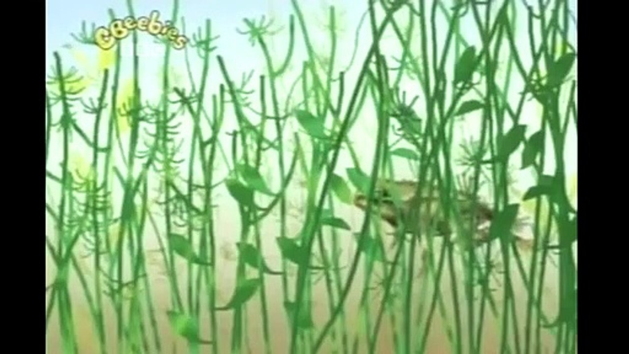 Cbeebies Come Outside   FROGS