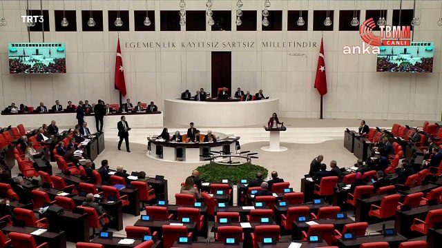 TİP'li Sera Kadıgil: Ahmak çabalar, iş olacağına varır