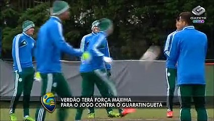 Palmeiras segue preparação para partida contra o Guará